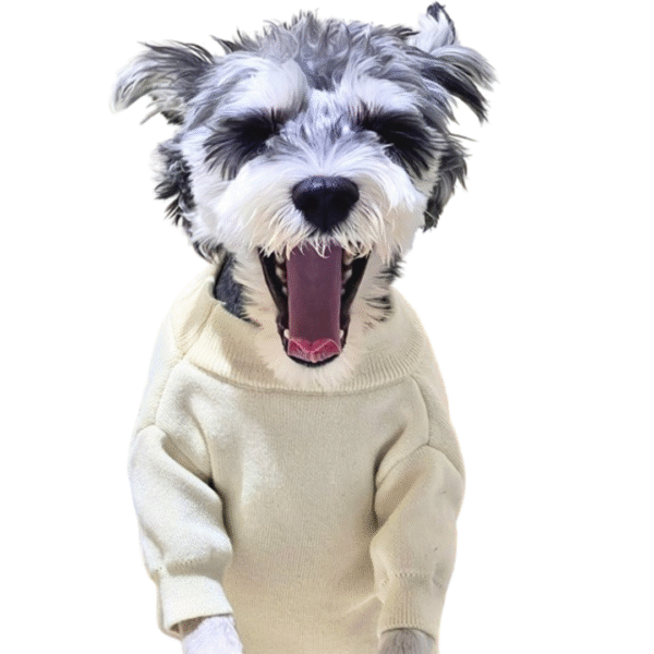 Chewnel Winter Wags Sweater - Image 2