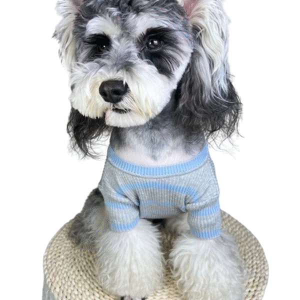Pawda Pup Prestige Knit Shirt - Image 3