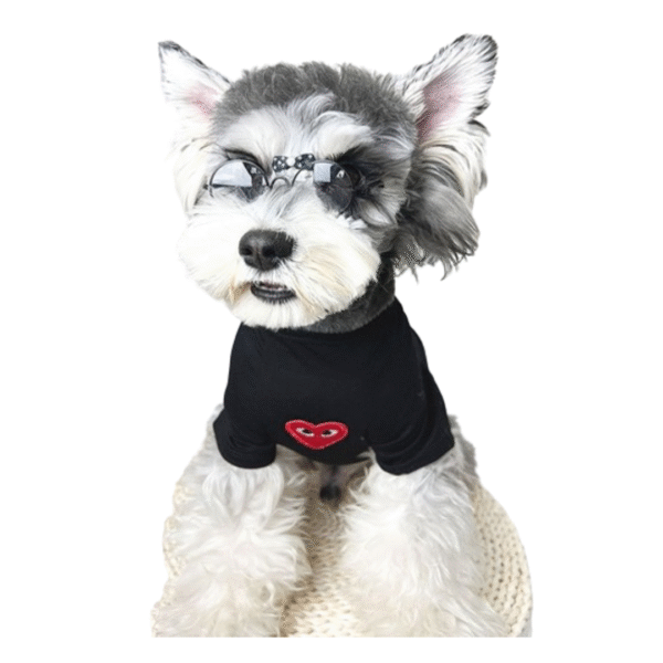 Comme Des Chiens Designer Comfy Shirt - Image 3