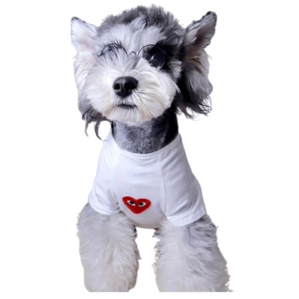 Comme Des Chiens Designer Comfy Shirt - Image 4