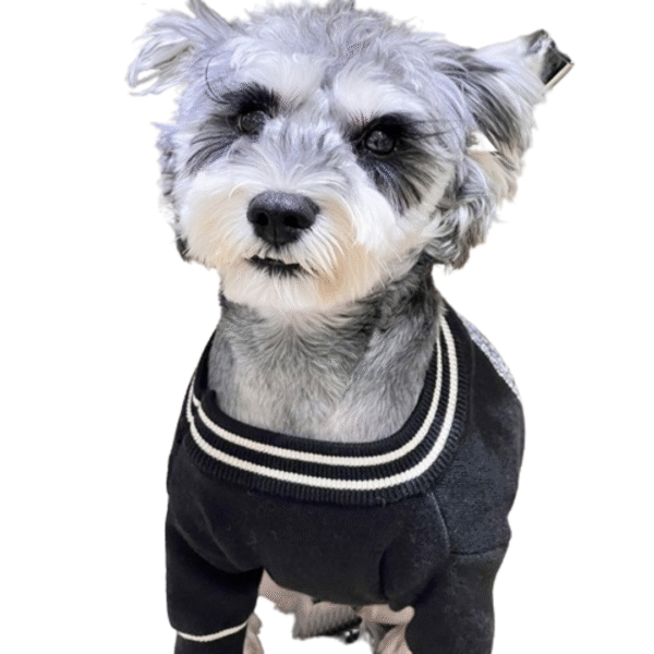 Pawsace Cozy Knit Couture - Image 5