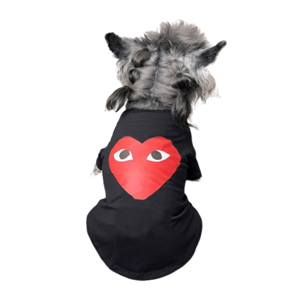 Comme Des Chiens Designer Comfy Shirt - Image 5