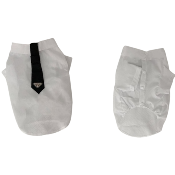 Pawda Sophisticated Shirt and Tie