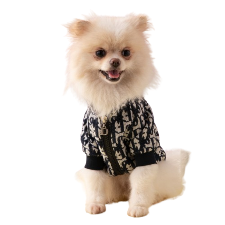 Dogior Trendsetter's Pup Garb - Image 3