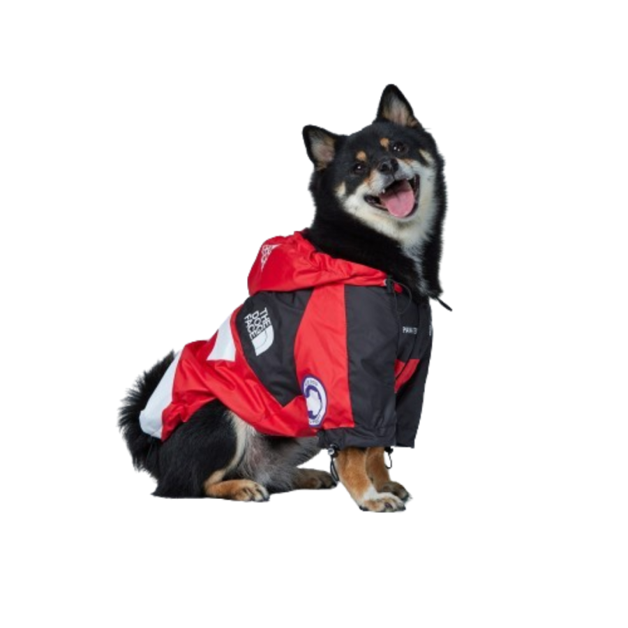 Pupreme x TDF Whisker Windbreaker - Image 3