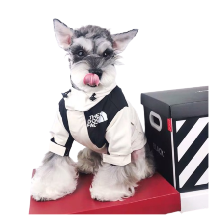 White and black TDF colorblock jacket with adjustable hood on small dog