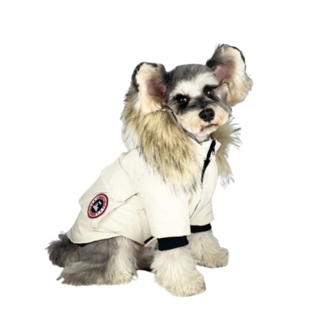 Small dog wearing cream Canada Goose inspired puffer with brown fur hood trim