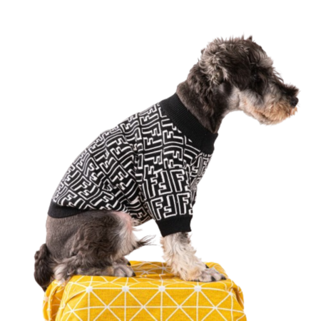 Small dog wearing black FF pattern sweater with geometric maze design