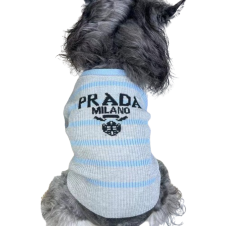 Small dark dog wearing blue gray striped Prada inspired knit tee back view