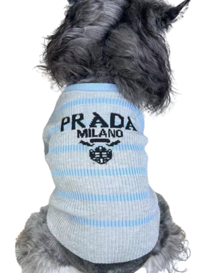Small dark dog wearing blue gray striped Prada inspired knit tee back view