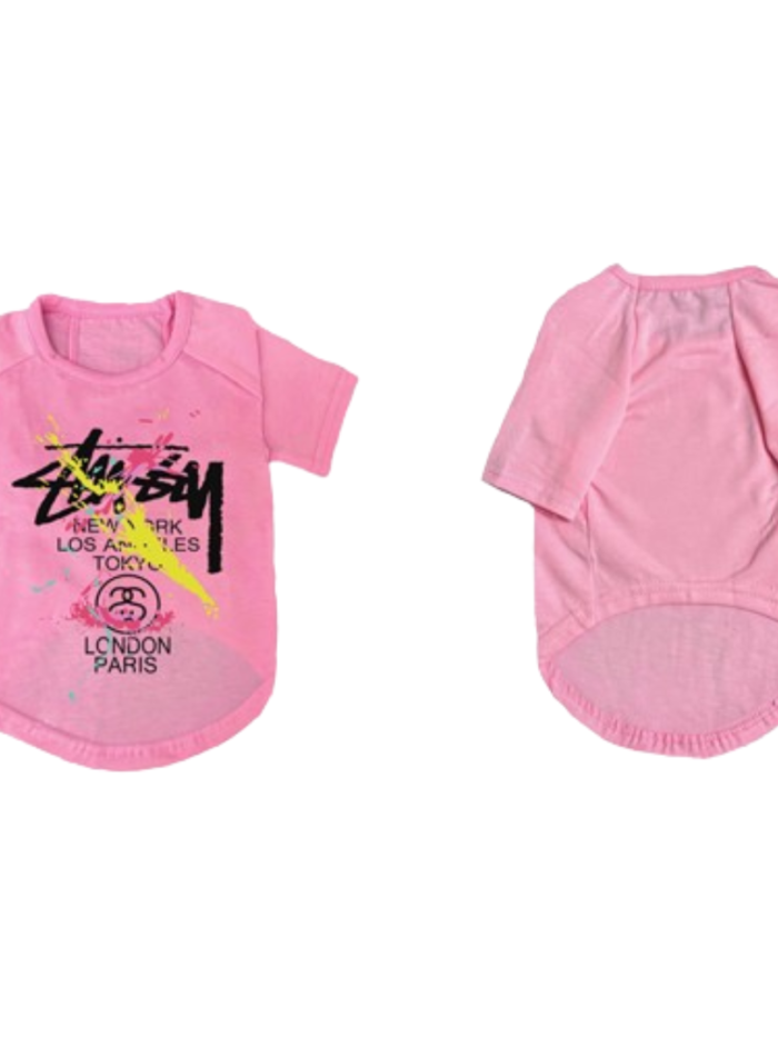 Pink dog tee with colorful city print streetwear style ASSC parody