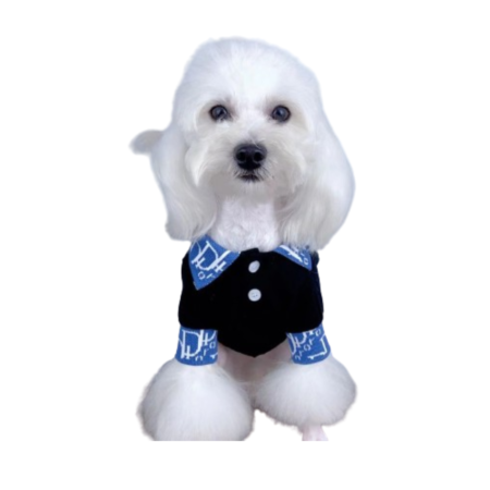 White dog wearing navy Dogior polo with blue Oblique print trim and button placket