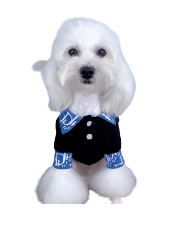 White dog wearing navy Dogior polo with blue Oblique print trim and button placket