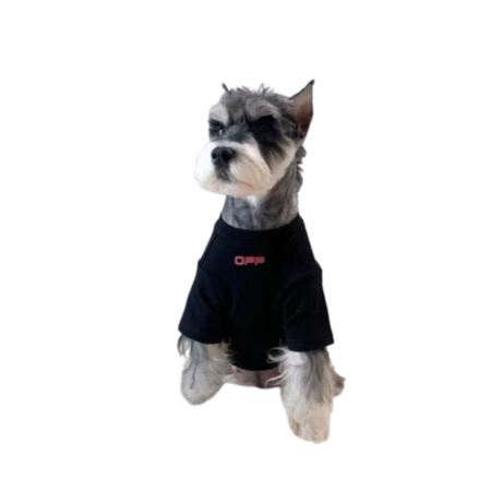 Small dog wearing black Woof-White tee with tropical galaxy graphics front view