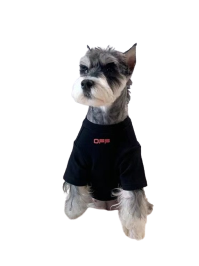 Small dog wearing black Woof-White tee with tropical galaxy graphics front view