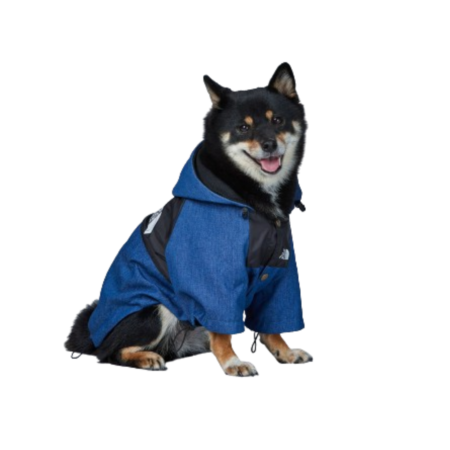 Medium dog wearing blue denim TDF jacket with black hood and snap closure