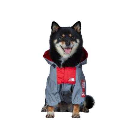 Black and tan dog wearing grey TDF windbreaker with red chest panel and hood