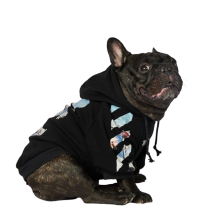 French Bulldog wearing black Woof-White hoodie with artistic back graphic and adjustable hood