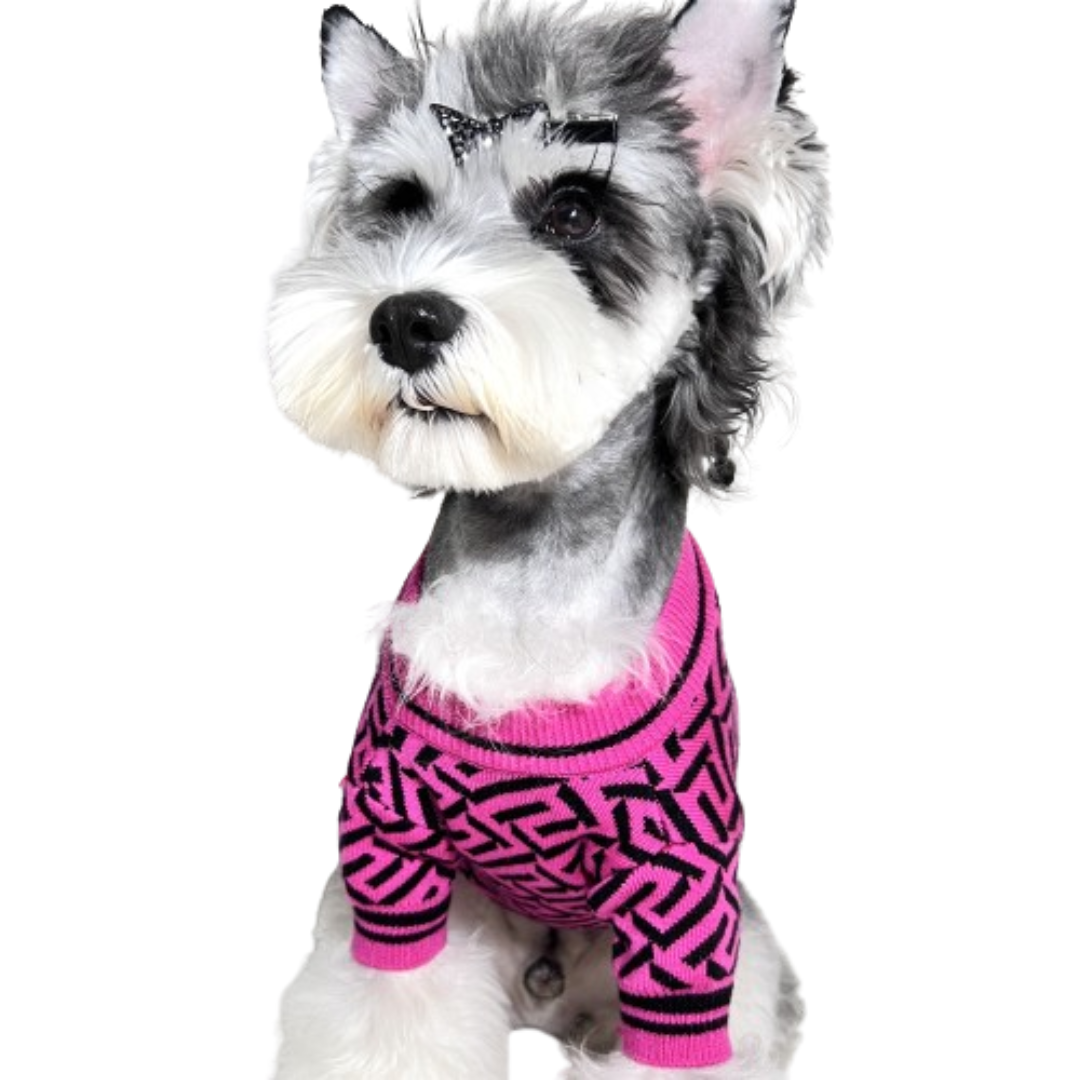 Small dog wearing pink Versace inspired geometric sweater with baroque print