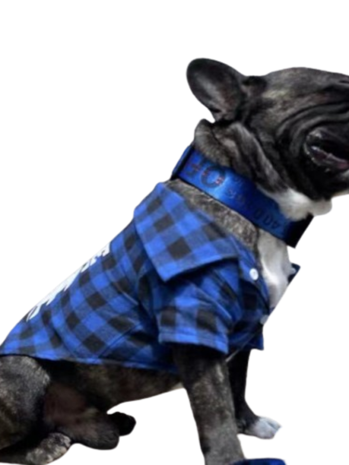 Blue buffalo check plaid dog tee worn on French Bulldog with white diagonal logo