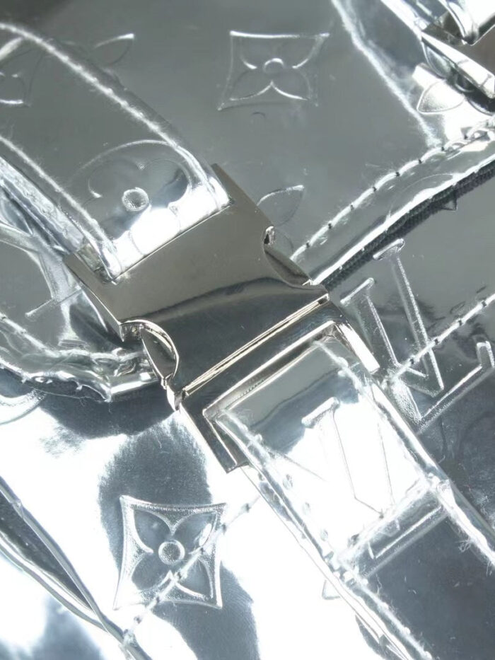 Close-up detail of clear dog backpack showing V monogram pattern and metal buckles