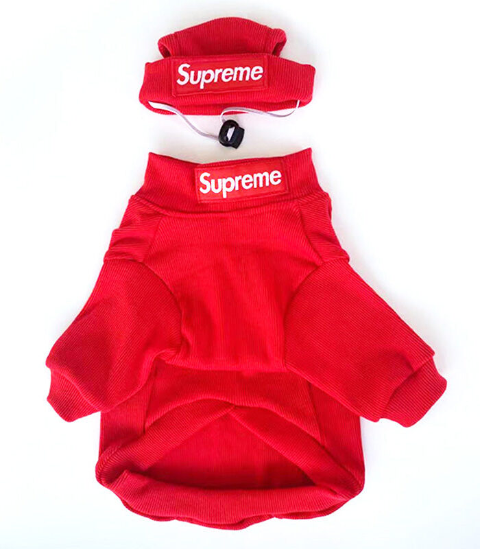 Red ribbed dog hoodie and matching hat Supreme inspired with box logo