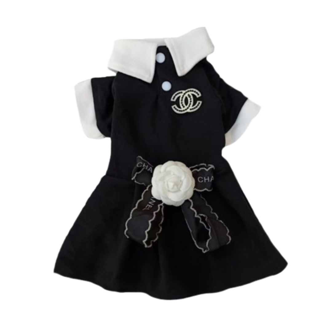 Chewnel Dress & Tee Set