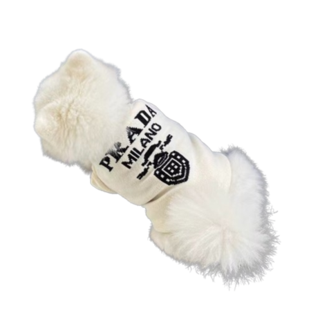 White fluffy dog wearing cream Milano logo sweater Prada style knit construction
