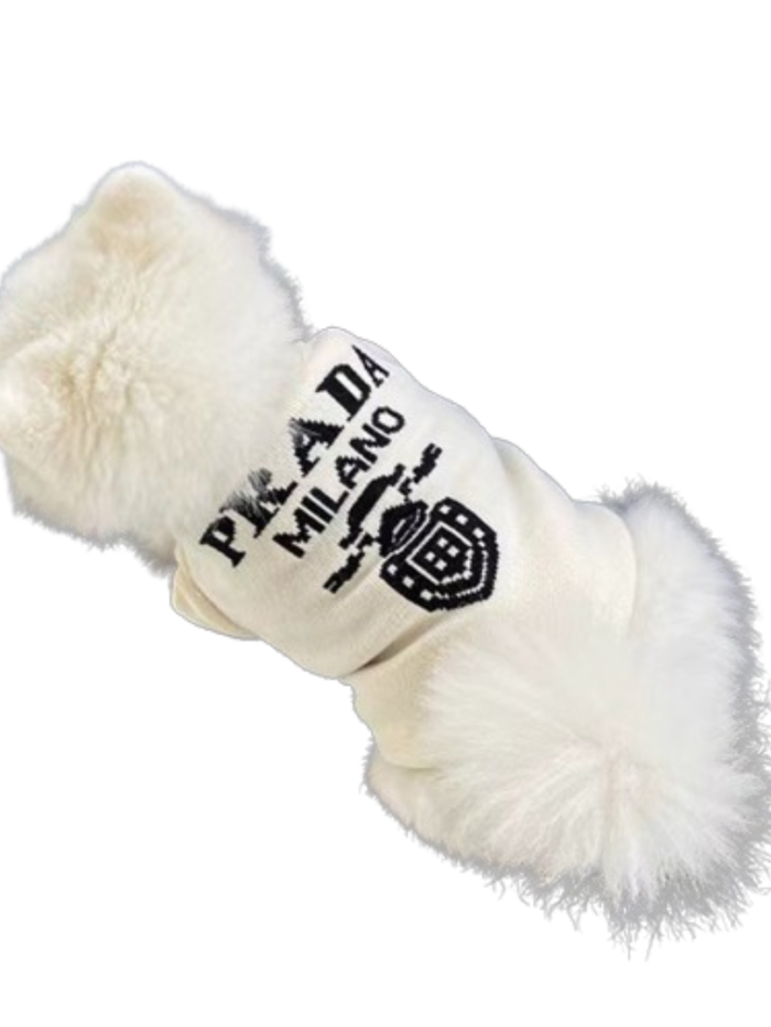 White fluffy dog wearing cream Milano logo sweater Prada style knit construction