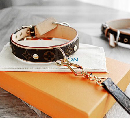 Monogram canvas dog collar and leash set with gold hardware on orange box