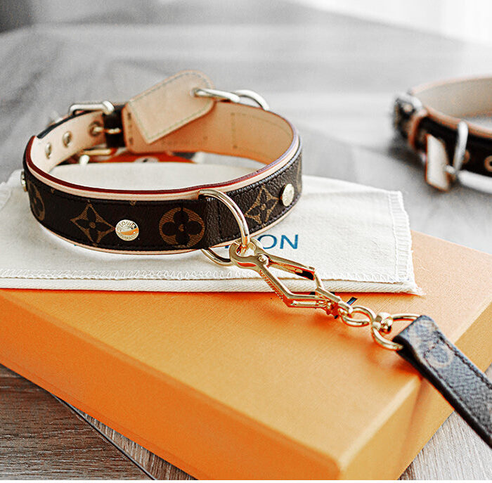 Monogram canvas dog collar and leash set with gold hardware on orange box