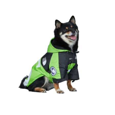Shiba Inu wearing green Pupreme x TDF windbreaker with mountain graphics