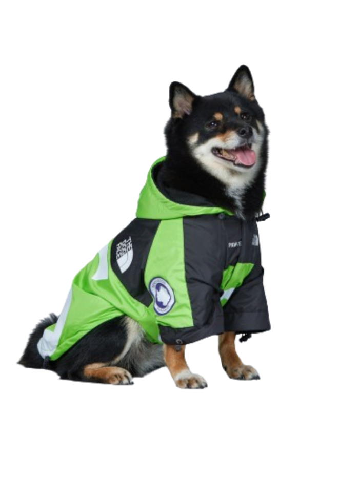 Shiba Inu wearing green Pupreme x TDF windbreaker with mountain graphics