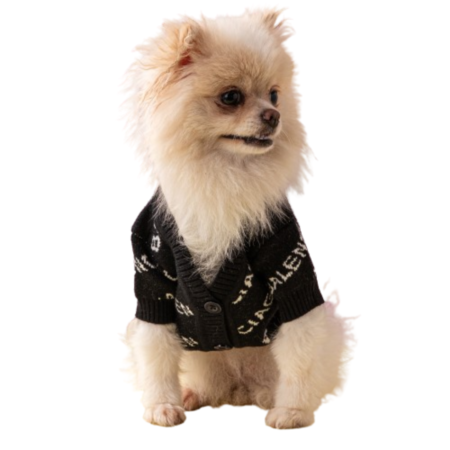 Small fluffy dog wearing black Balenciaga-inspired logo cardigan with button front closure