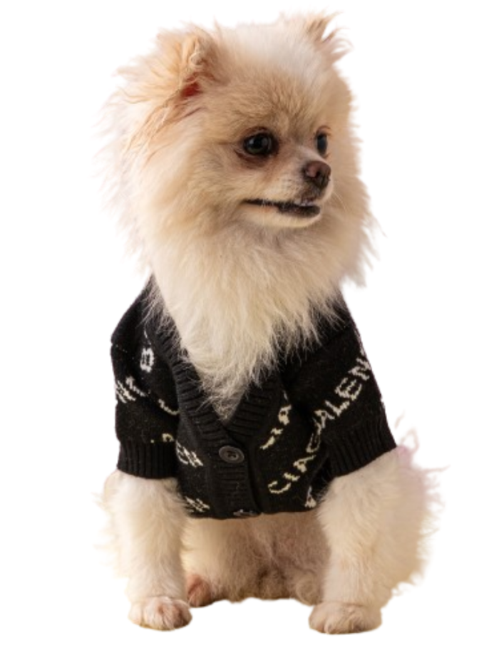 Small fluffy dog wearing black Balenciaga-inspired logo cardigan with button front closure
