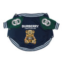 Navy varsity dog jacket with green sleeves and Burberry teddy bear graphic