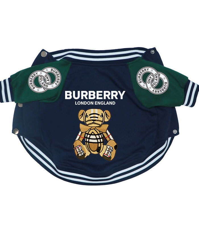Navy varsity dog jacket with green sleeves and Burberry teddy bear graphic