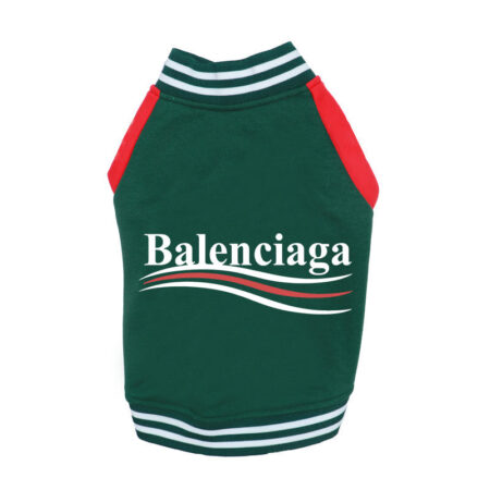 Green dog varsity jacket with white striped ribbed collar and red colorblock sleeves