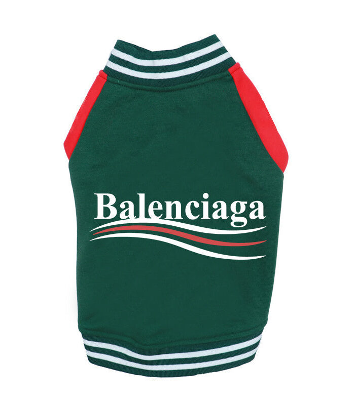 Green dog varsity jacket with white striped ribbed collar and red colorblock sleeves