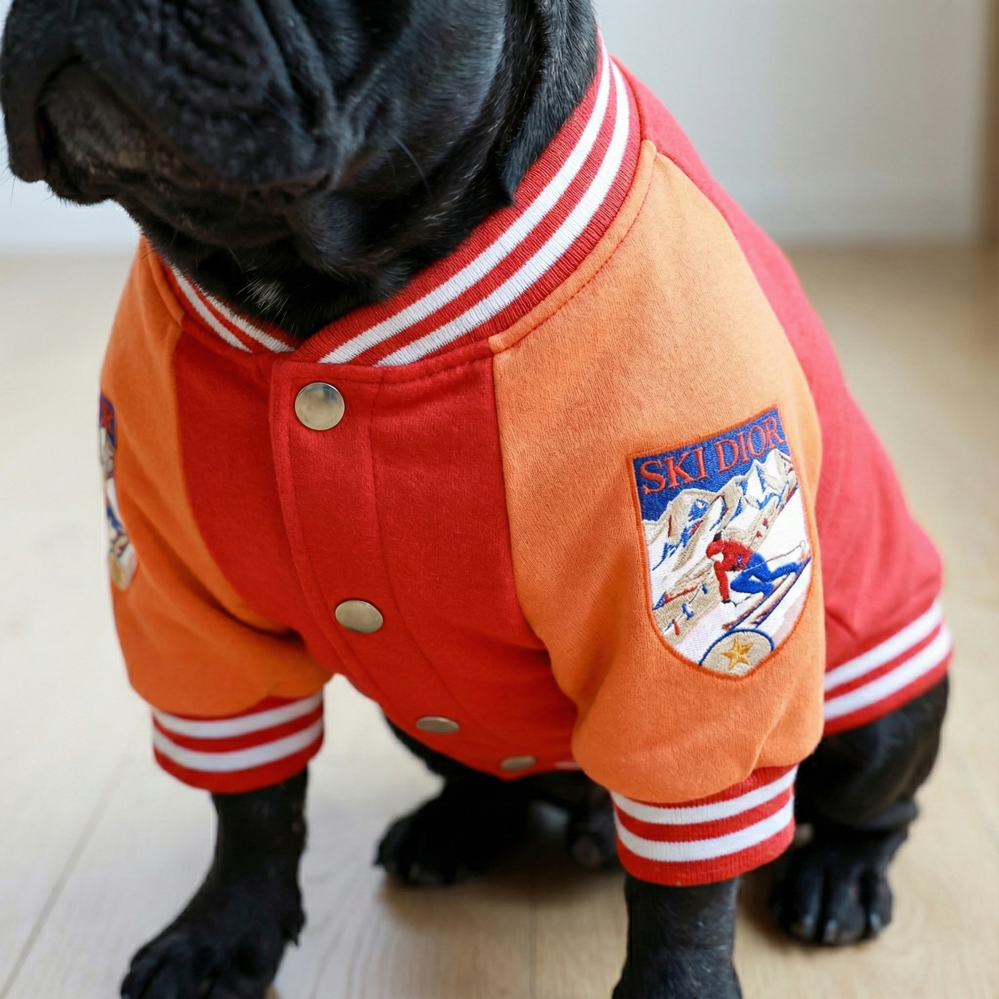 Dogior Varsity Bomber Jacket