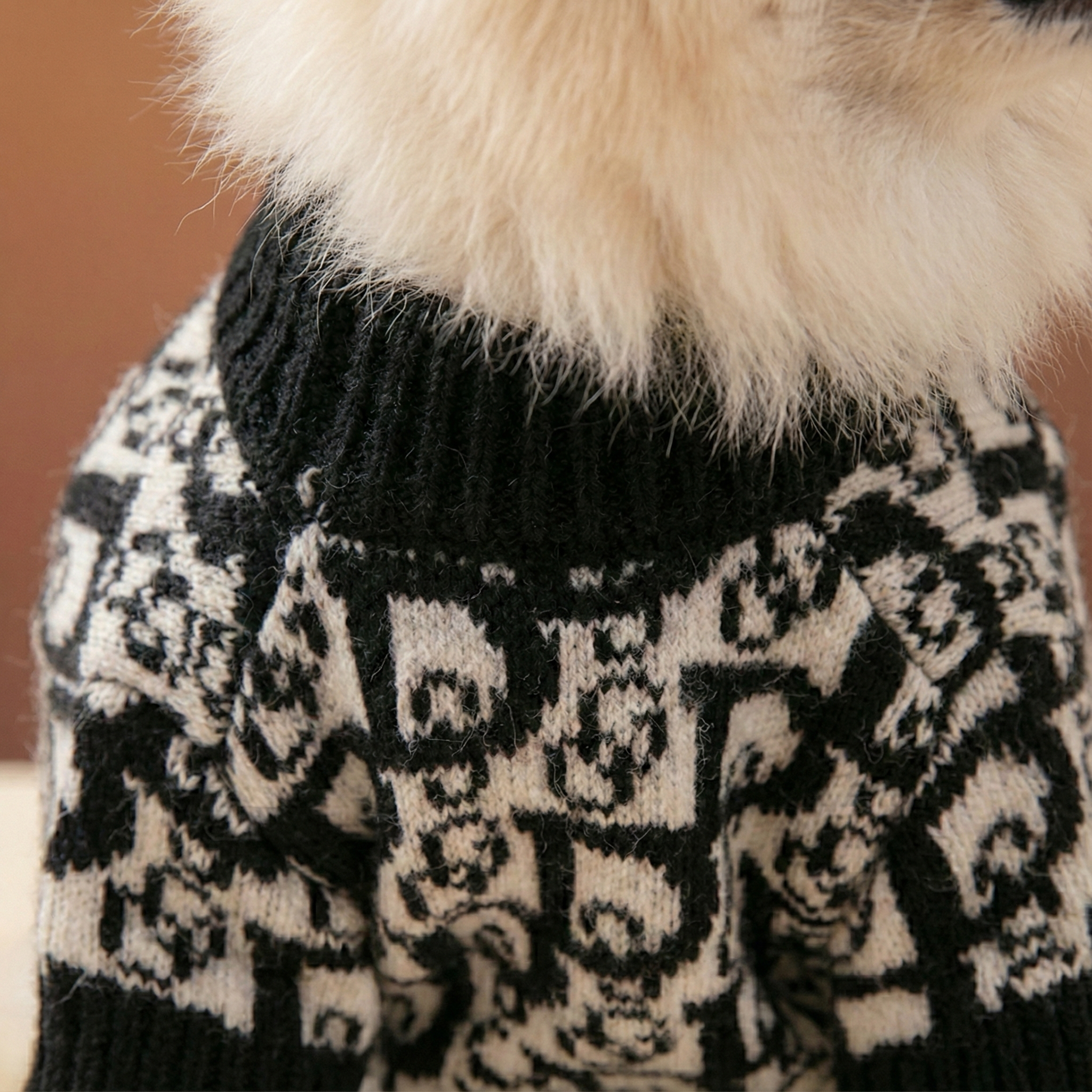 Close up detail black cream knit Dior inspired dog sweater monogram pattern