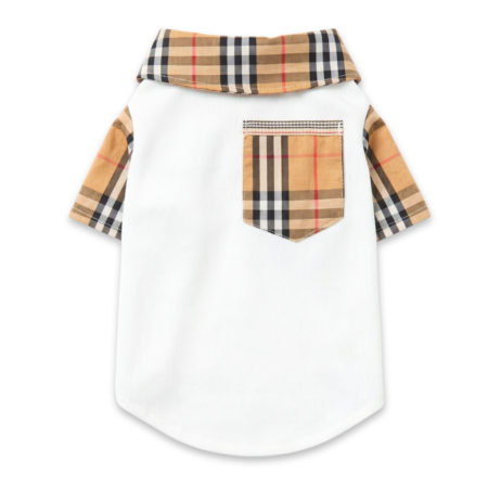 White dog polo shirt with tan check sleeves and back pocket Burberry style heritage plaid
