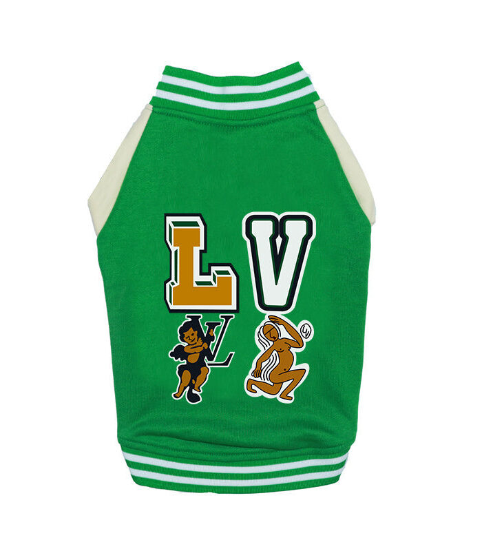 Green dog bomber jacket with cartoon mascots and LV chest graphics varsity style