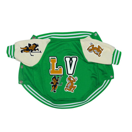 Green varsity bomber jacket with cream sleeves and LV lettering Louis Vuitton inspired flat lay