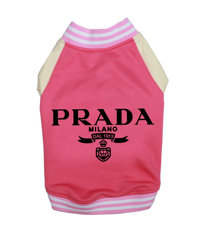 Pink dog varsity jacket with snap front closure and striped ribbed trim