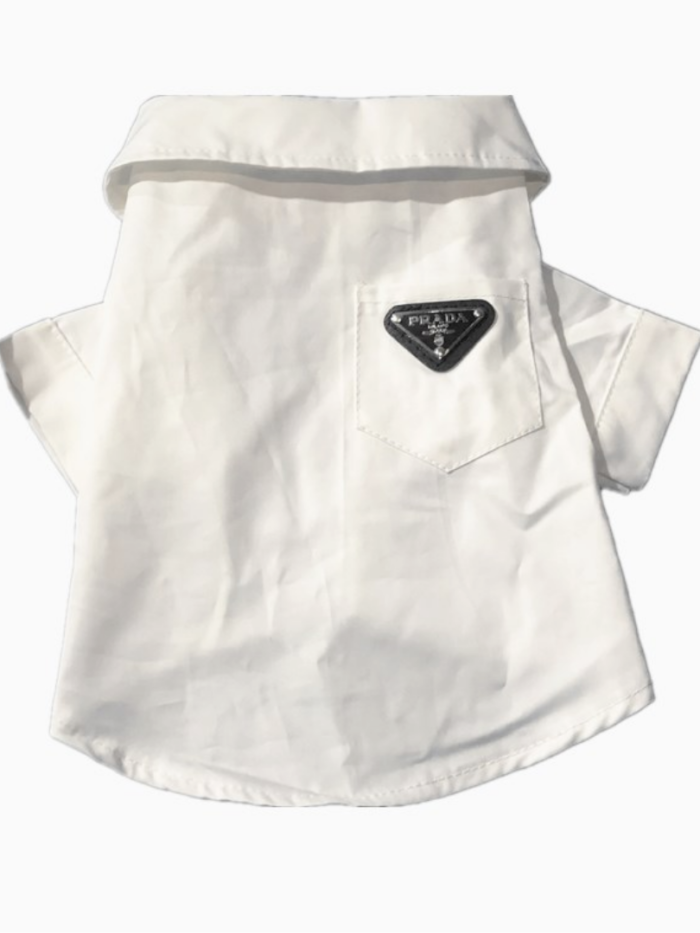 White collared dog shirt Prada style with structured collar and chest pocket