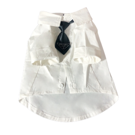 White dog shirt with black Prada triangle logo tie formal wear