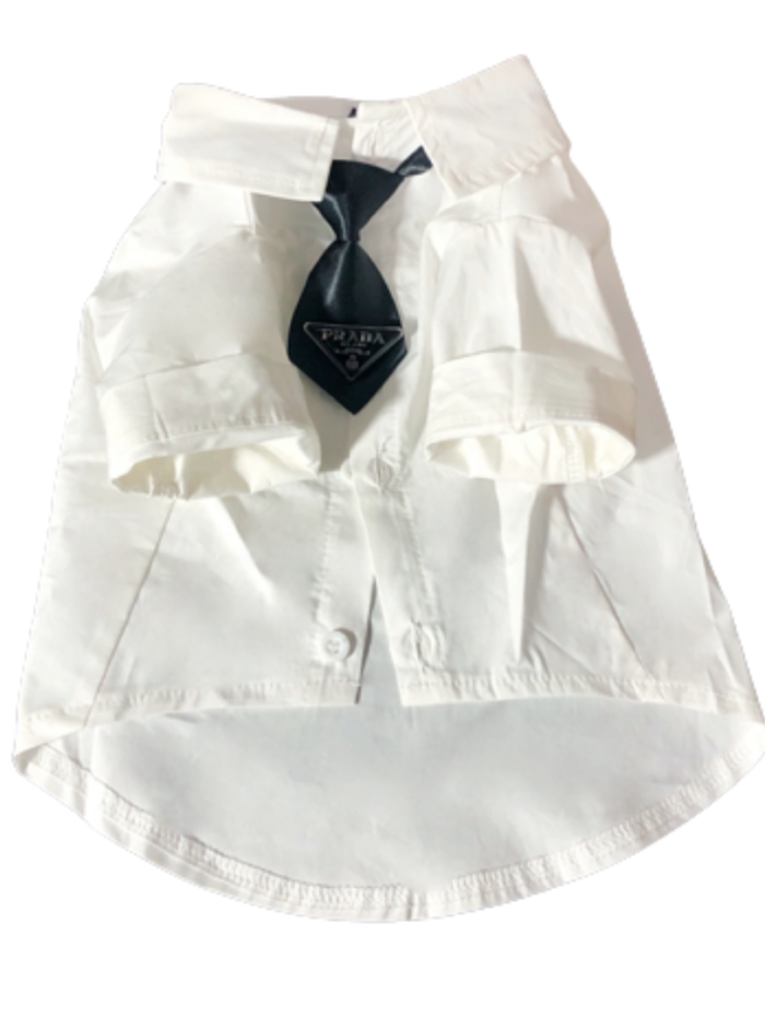 White dog shirt with black Prada triangle logo tie formal wear