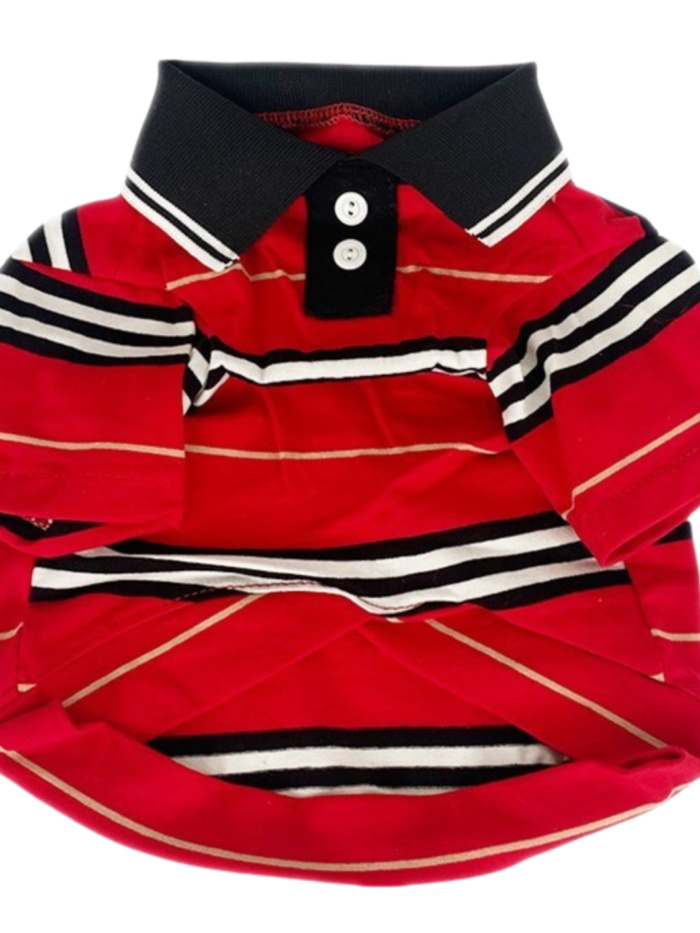 Red striped dog polo shirt Burberry style with black collar and button placket