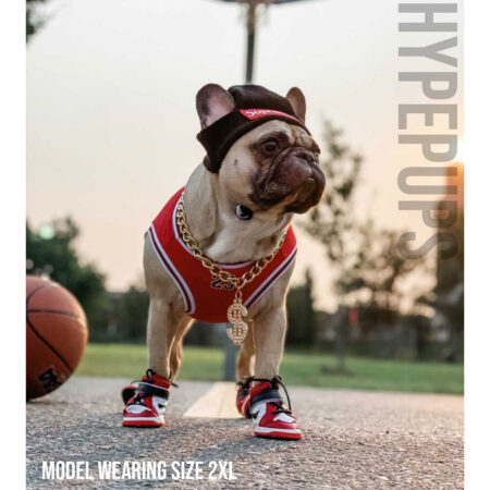 French bulldog wearing red Air Bud basketball jersey with matching sneakers